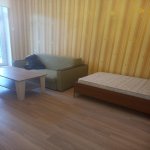 Kirayə (aylıq) 1 otaqlı Köhnə Tikili, 28 May metrosu, Nəsimi rayonu 3