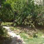 Satılır 3 otaqlı Həyət evi/villa Xırdalan 2