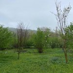 Продажа Участок Гябяля 11