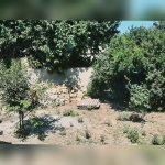 Satılır 5 otaqlı Həyət evi/villa Gəncə 3