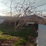 Satılır 10 otaqlı Həyət evi/villa Şəki 13