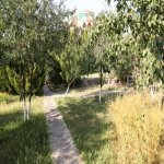 Satılır 7 otaqlı Bağ evi, Novxanı, Abşeron rayonu 46