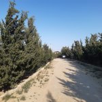 Satılır 3 otaqlı Bağ evi, Məhəmmədli, Abşeron rayonu 19