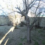 Satılır 5 otaqlı Bağ evi, Novxanı, Abşeron rayonu 10