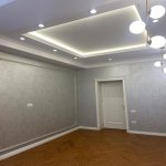 Продажа 4 комнат Новостройка, м. Гянджлик метро, Насими район 20