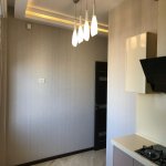 Продажа 2 комнат Новостройка, м. Эльмляр Академиясы метро, Ясамал район 14