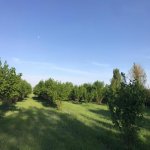 Продажа Участок Гябяля 9