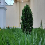 Satılır 3 otaqlı Həyət evi/villa, Buzovna, Xəzər rayonu 16