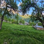 Satılır Torpaq Qəbələ 6