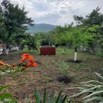 Kirayə (günlük) 3 otaqlı Həyət evi/villa Şəki 10
