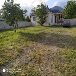 Kirayə (günlük) 3 otaqlı Həyət evi/villa Qəbələ 8