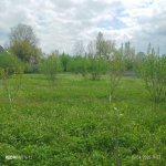 Satılır 4 otaqlı Həyət evi/villa Oğuz 6