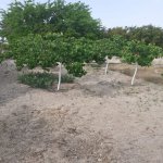 Satılır Torpaq Sumqayıt 6
