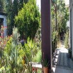 Satılır 4 otaqlı Bağ evi, Mərdəkan, Xəzər rayonu 13