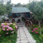 Kirayə (günlük) 1 otaqlı Həyət evi/villa Qax 1