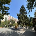 Продажа 3 комнатная Вторичка, м. Гара Гараева метро, 8-ой километр, Низаминский р-н район 1