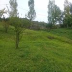Satılır Torpaq İsmayıllı 5