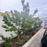 Satılır 6 otaqlı Həyət evi/villa, Badamdar qəs., Səbail rayonu 9