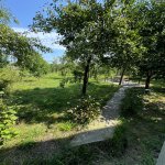 Kirayə (günlük) 4 otaqlı Bağ evi Quba 16