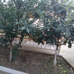 Satılır Həyət evi/villa, Abşeron rayonu 24