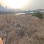 Satılır Torpaq Masallı 1