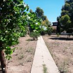 Kirayə (aylıq) 5 otaqlı Həyət evi/villa, Şüvəlan, Xəzər rayonu 15