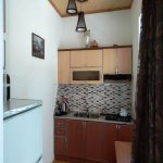Kirayə (günlük) 3 otaqlı Bağ evi Qəbələ 11
