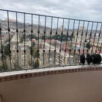 Satılır 3 otaqlı Yeni Tikili, Qaraçuxur qəs., Suraxanı rayonu 13