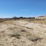 Satılır Torpaq, Saray, Abşeron rayonu 5