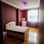 Kirayə (aylıq) 3 otaqlı Yeni Tikili, Nəriman Nərimanov metrosu, Nərimanov rayonu 14