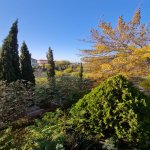 Satılır 10 otaqlı Həyət evi/villa, Saray, Abşeron rayonu 11