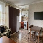 Kirayə (aylıq) 1 otaqlı Köhnə Tikili, Nizami metrosu, Nəsimi rayonu 4