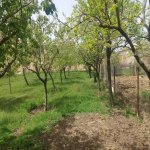 Satılır 4 otaqlı Həyət evi/villa, Saray, Abşeron rayonu 20