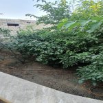 Satılır 3 otaqlı Həyət evi/villa, Avtovağzal metrosu, Biləcəri qəs., Binəqədi rayonu 8