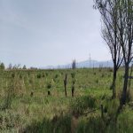 Продажа Участок Хачмаз 22