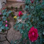 Satılır 3 otaqlı Bağ evi, Bilgəh qəs., Sabunçu rayonu 31