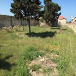 Satılır Torpaq, Bilgəh qəs., Sabunçu rayonu 4