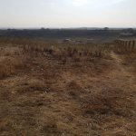 Satılır Torpaq, Novxanı, Abşeron rayonu 5