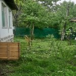 Kirayə (günlük) 3 otaqlı Həyət evi/villa Qəbələ 9