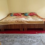 Kirayə (günlük) 3 otaqlı Həyət evi/villa Lerik 6