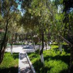 Satılır Mini otel / Xostel, Lökbatan qəs., Qaradağ rayonu 24