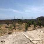 Продажа 3 комнат Дача, Шювалан, Хязяр район 6