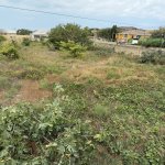 Продажа Участок, Новханы, Абшерон район 2
