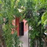 Kirayə (günlük) 4 otaqlı Həyət evi/villa Xaçmaz / Nabran 2