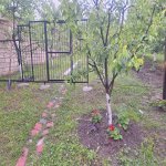 Аренда 5 комнатная Дома/Виллы Губа 7