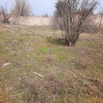 Satılır Torpaq, Saray, Abşeron rayonu 4
