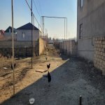 Satılır Torpaq, Fatmayi, Abşeron rayonu 3
