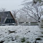 Kirayə (günlük) 4 otaqlı Həyət evi/villa Qəbələ 23