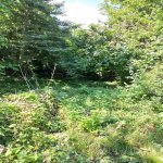 Продажа Участок Исмаиллы 3