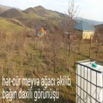 Satılır Torpaq İsmayıllı 2